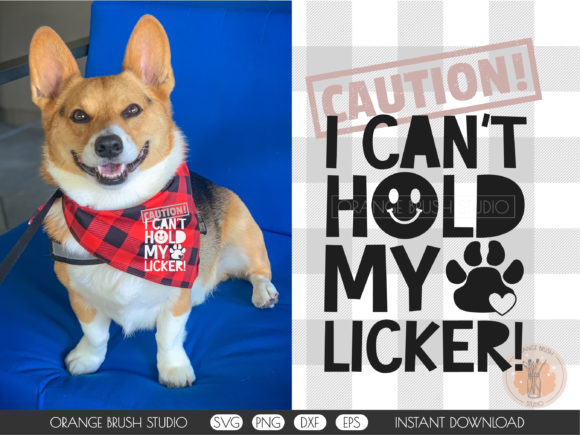 Fluffy Dog Can't Hold Licker SVG Quote Review for Real Projects